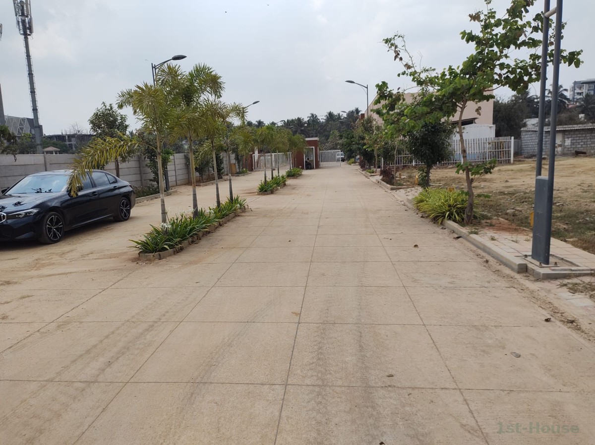 Butterfly Avenue - Project Image