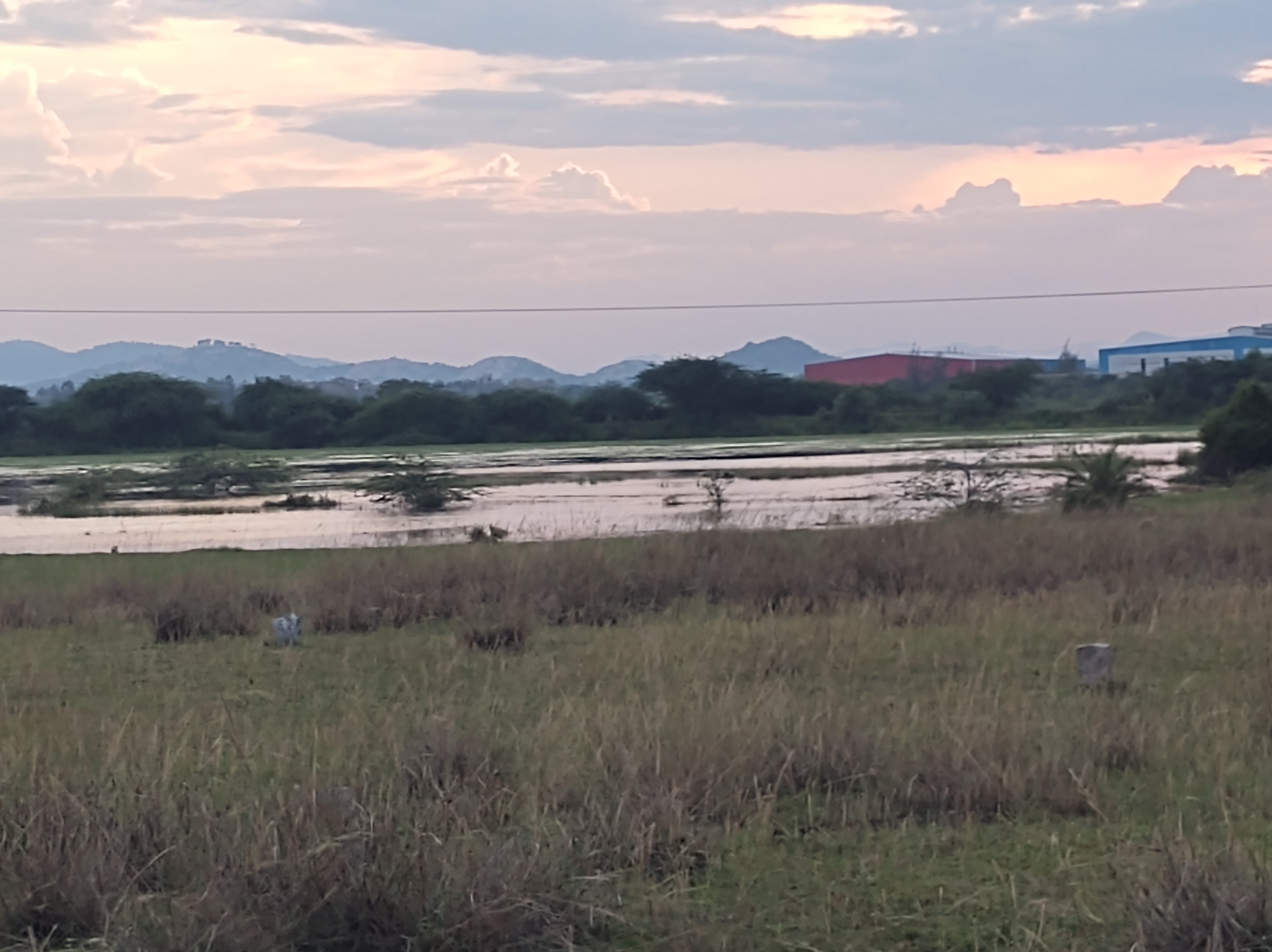 Plot of 30 by 40 Square feet - Image 4